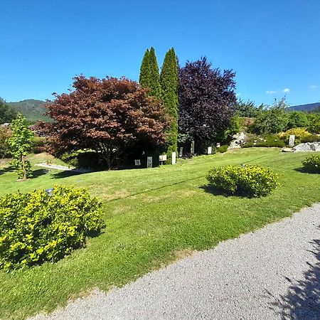Chalet De Grettery Saulxures-sur-Moselotte Exterior photo